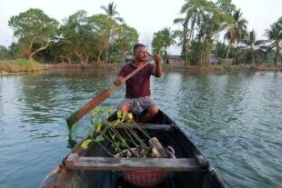 T. P. Murukesan rows a canoe stocked with mangrove saplings along a waterbody off the shore of Vypin Island in Kochi, India, March 4, 2023. (Shawn Sebastian/AP)